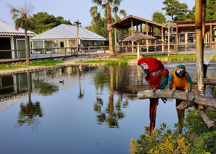 Barefoot Landing photo
