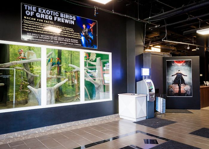 Greg Frewin Theatre photo