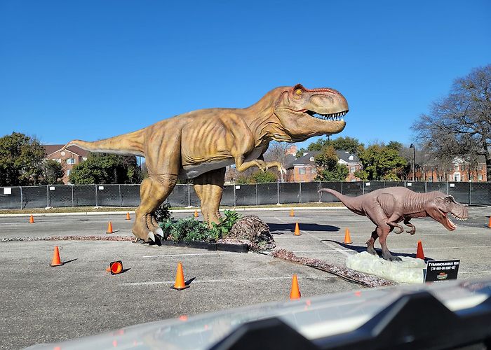 Six Flags Hurricane Harbor photo