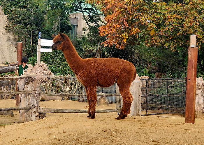 London Zoo photo