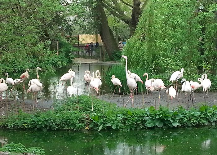 London Zoo photo