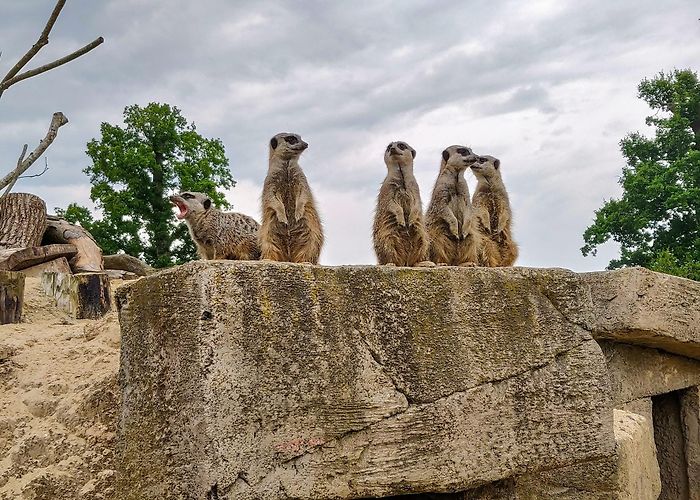 Longleat House photo