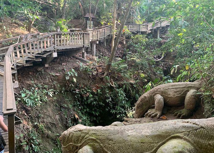 Ubud Monkey Forest photo