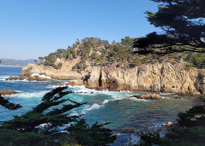 Point Lobos State Natural Reserve photo