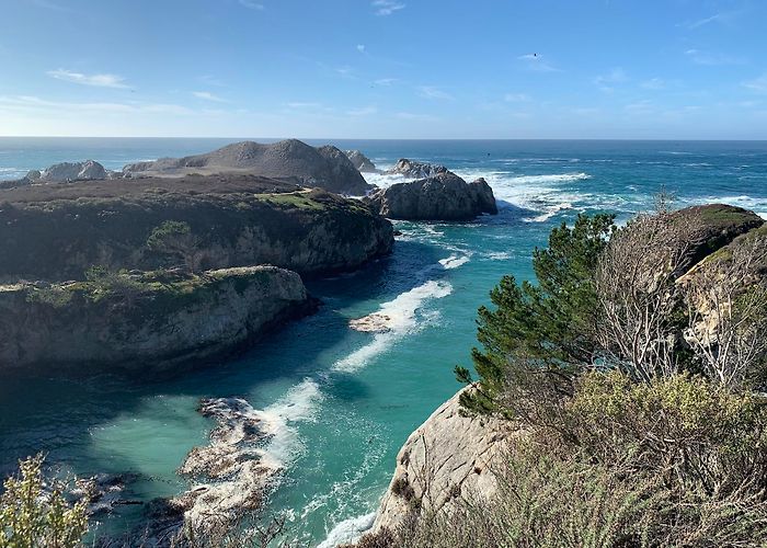 Point Lobos State Natural Reserve photo