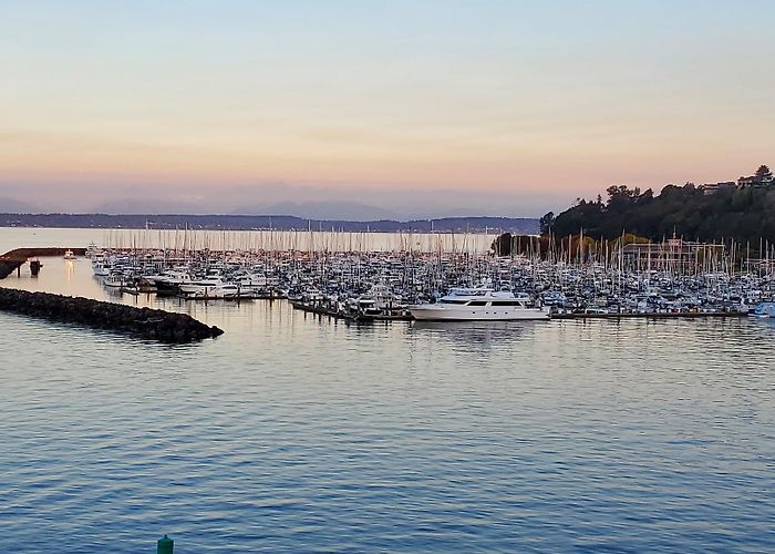 Smith Cove Cruise Terminal at Pier 91 photo