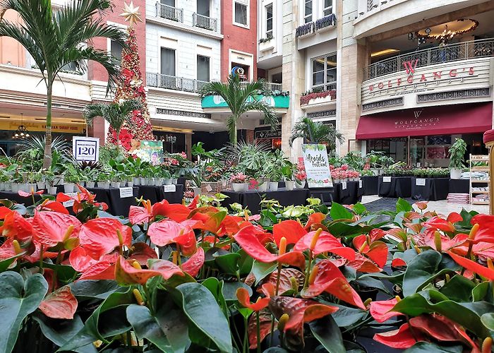 Newport World Resorts photo