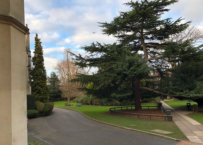 Richmond University - The American University in London photo