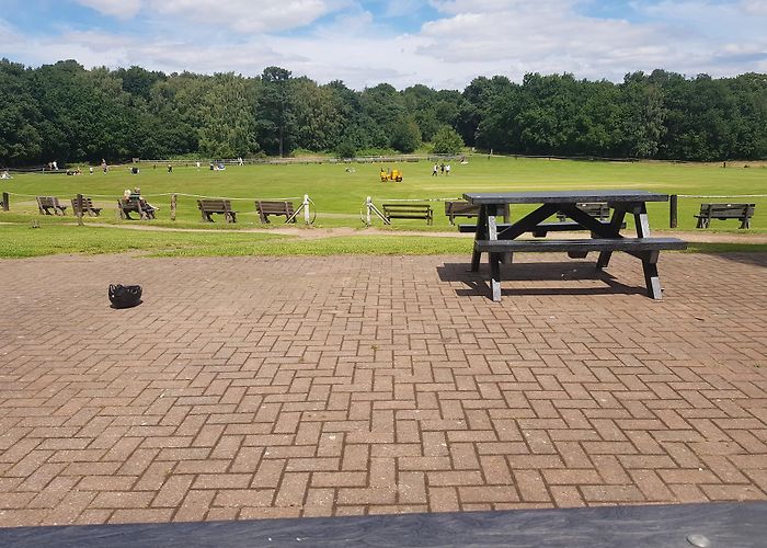 Sherwood Forest photo