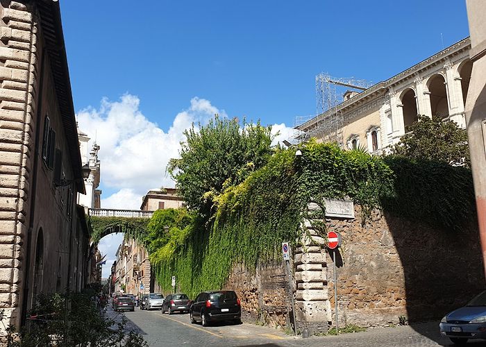 Campo de' Fiori photo