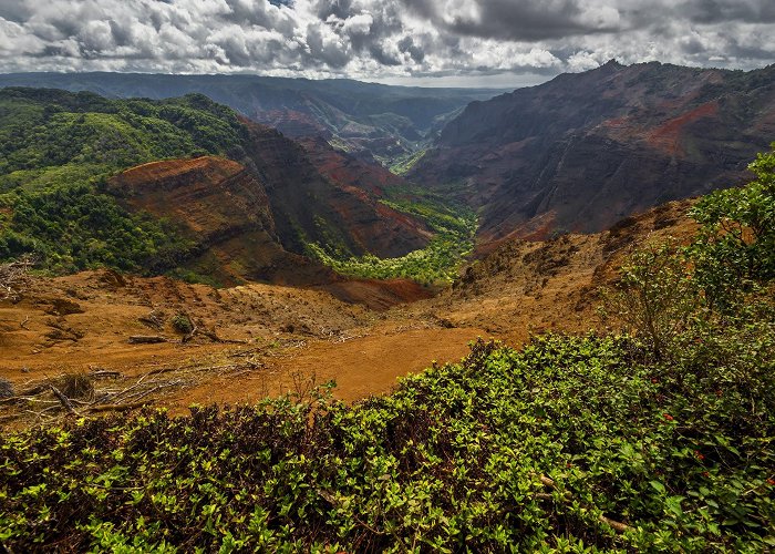 Waimea Canyon photo