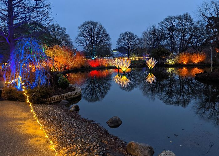 RHS Garden Wisley photo