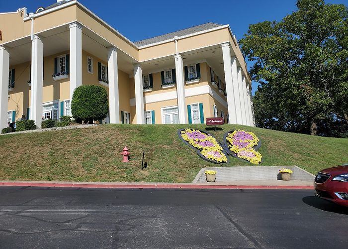 Dolly Parton's Dixie Stampede Dinner Attraction photo