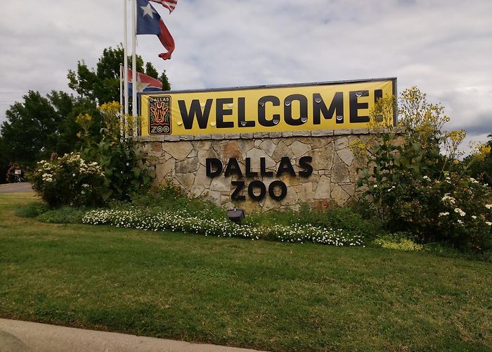 Dallas Zoo photo