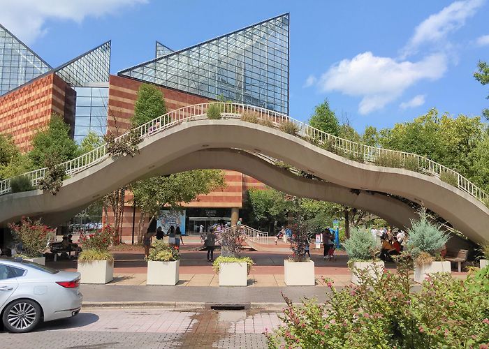Tennessee Aquarium photo