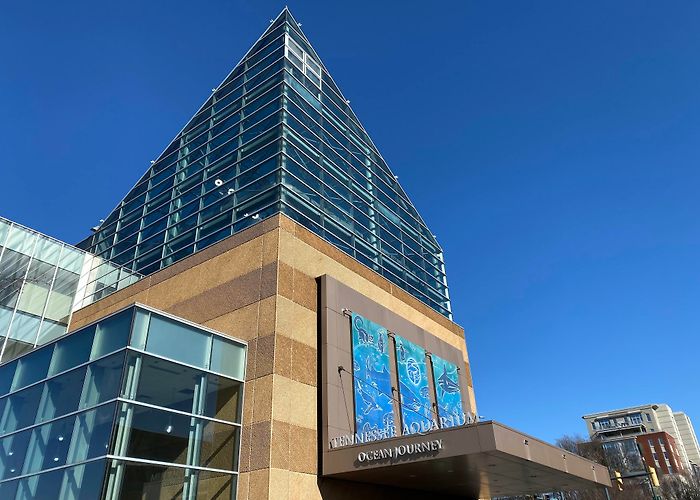 Tennessee Aquarium photo