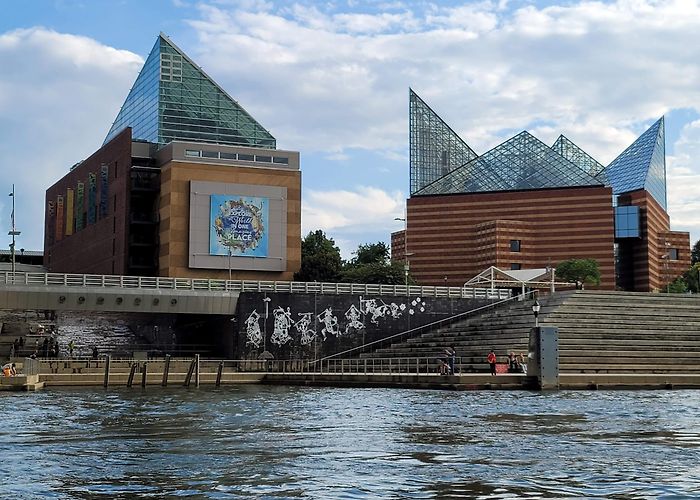 Tennessee Aquarium photo