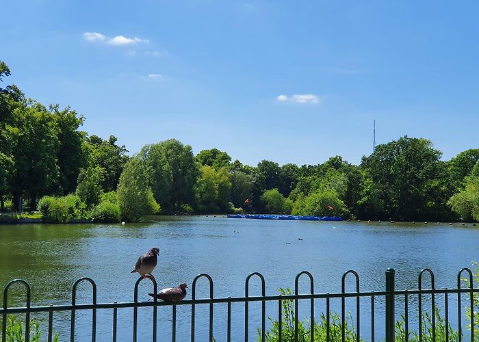 Crystal Palace Park photo