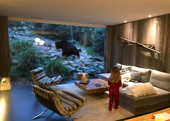 Zoo de La Fleche Safari lodge, zoo de la flèche, France. [2048x1536][OC] : r/RoomPorn photo