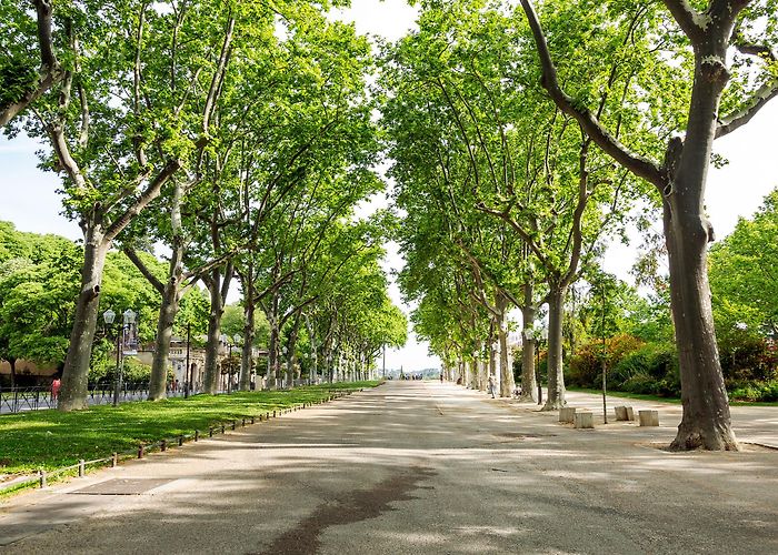 Esplanade Charles de Gaulle Eat. See. Do: Montpellier, France - today's nest photo