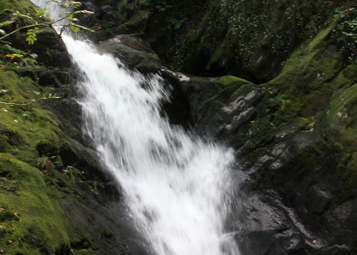 Dolgoch Falls Geology and Geomorphology | Aberdovey Londoner photo