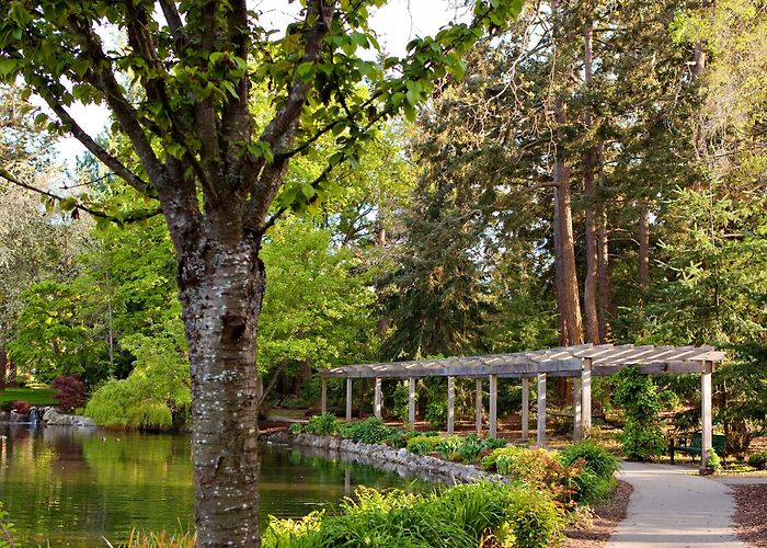 Beacon Hill Park Beacon Hill Park, Victoria, B.C., Canada - Park Review | Condé ... photo