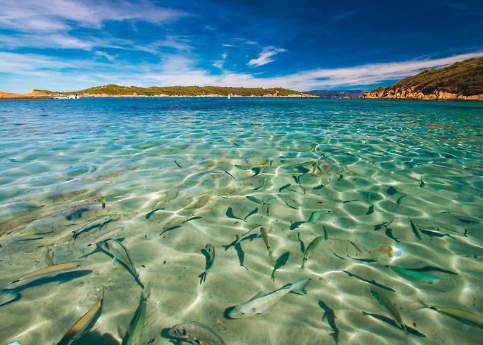 Ile de Porquerolles Porquerolles - Hyères Tourist Office official website photo