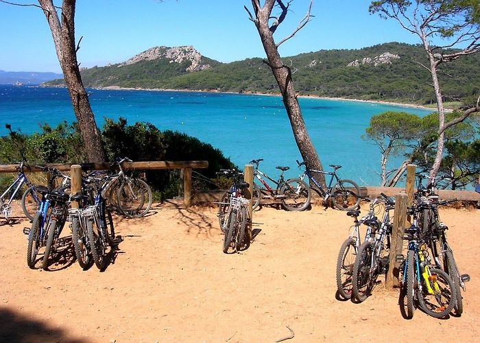 Ile de Porquerolles The Golden Islands photo