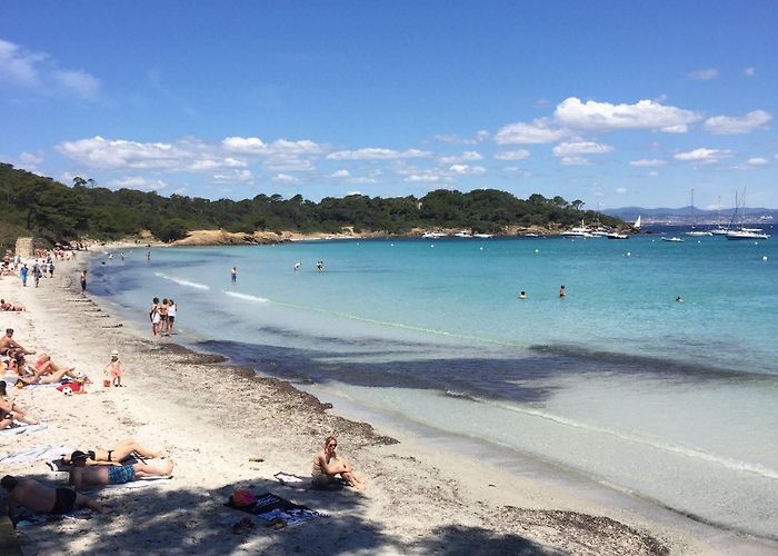 Ile de Porquerolles La Plage d'Argent - Hyères Tourist Office official website photo