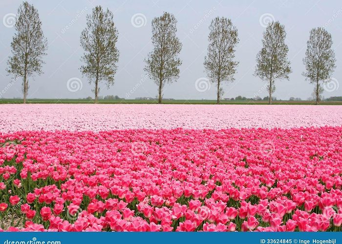Lighthouse Urk 4,008 Noordoostpolder Stock Photos - Free & Royalty-Free Stock ... photo
