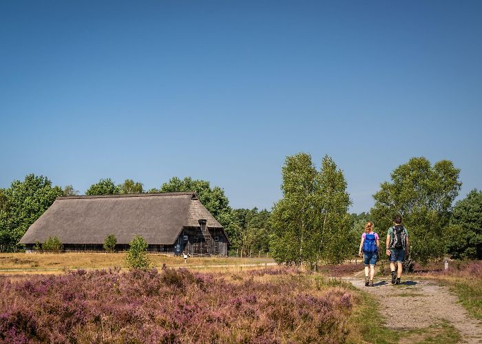 Theme Museum Heide Moorland Sheep Trail - Germany's most scenic hiking trail ... photo