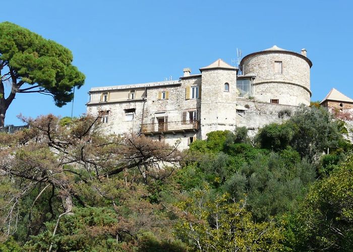 Castello Brown Castello Brown photo