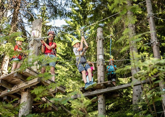 Kitzbüheler Horn Hornpark tree top adventure park • St. Johann in Tirol region photo