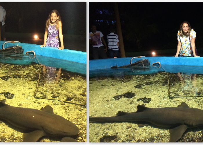 Ilha dos Aquarios Ilha dos Aquários – Arraila D'Ajuda – BA – Verônica Tudo Agora photo