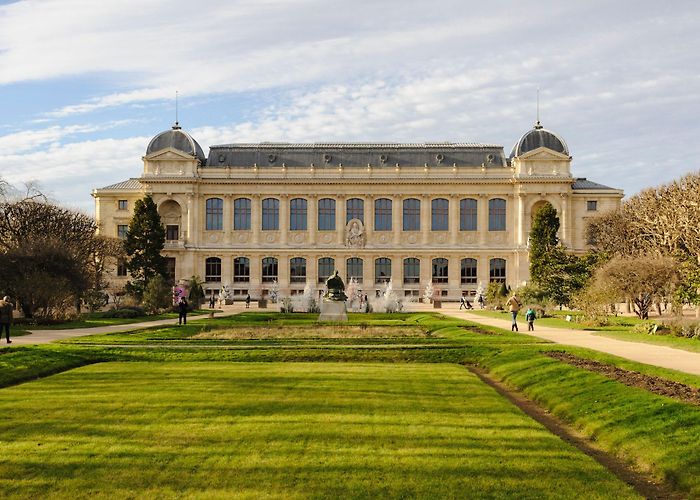 National Museum of Natural History National Museum of Natural History – Museum Review | Condé Nast ... photo