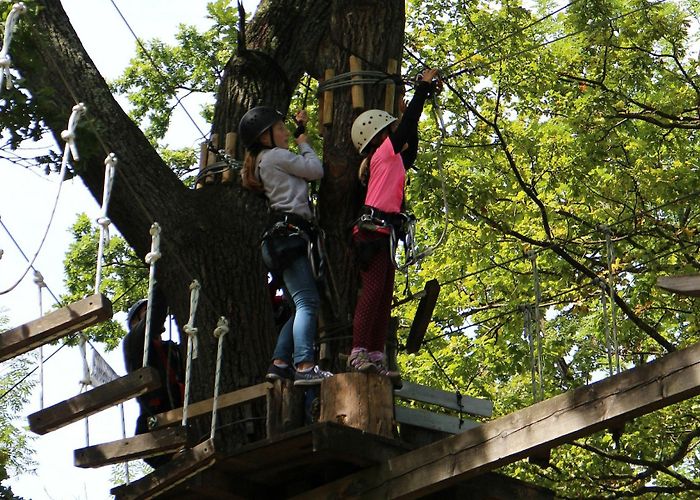 Le port des cerises Accro des arbres, the accrobranche at Base de loisirs du Port aux ... photo