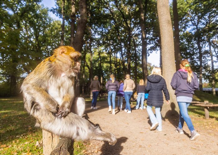 NaturZoo Rheine e.V. Rheine Nature Zoo | Münsterland Zoo photo