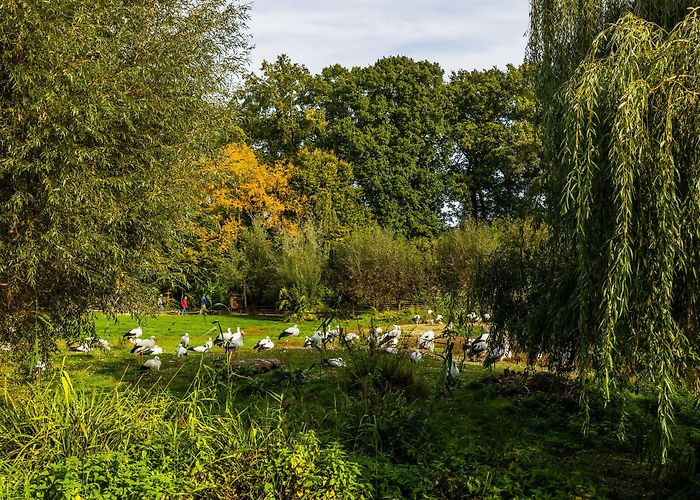 NaturZoo Rheine e.V. Rheine Nature Zoo | Münsterland Zoo photo