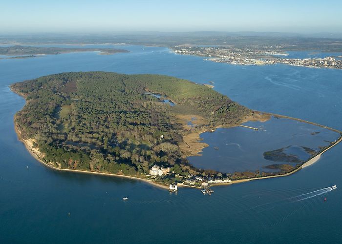 Brownsea Island Nature Reserve Brownsea Island | Dorset | National Trust photo