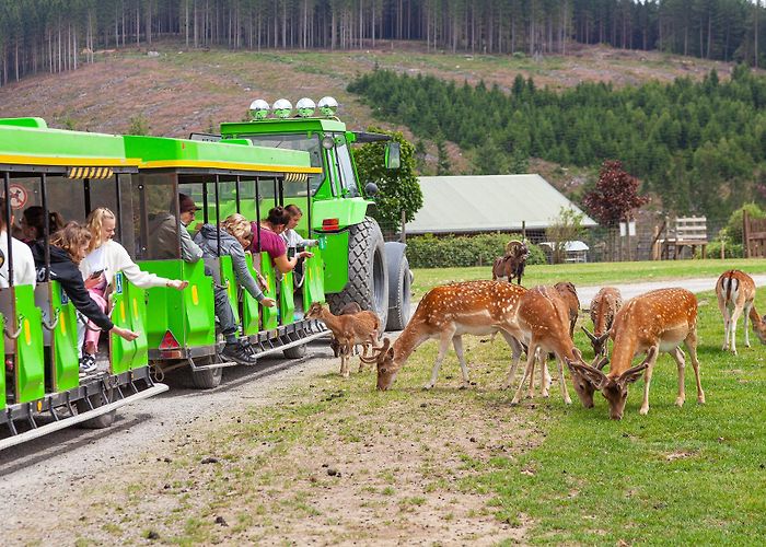Panorama-Park Sauerland Grèvin Deutschland GmbH Panorama-Park Sauerland Wildpark - Highlights, Tipps & Review zum ... photo