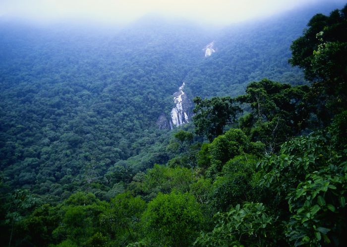 Cultural Center of the Povos da Amazonia Visit Iranduba: 2024 Travel Guide for Iranduba, Manaus | Expedia photo
