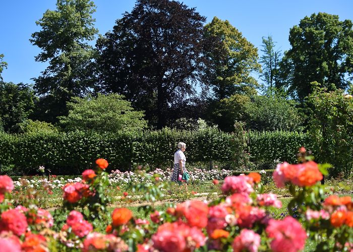 Vrijbroekpark Vrijbroek Park - Mechelen - Arrivalguides.com photo