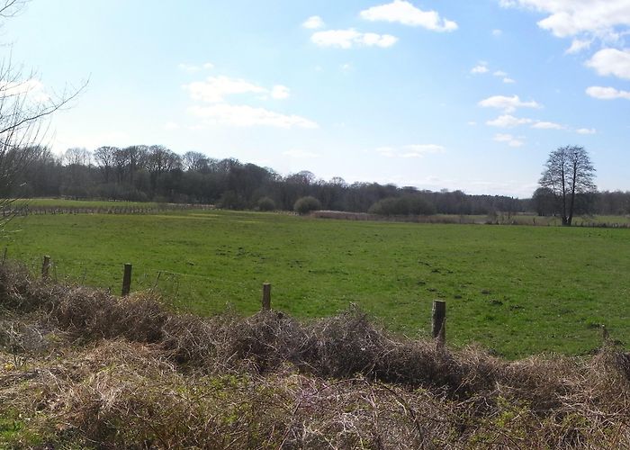 Volksdorf museum village Visit Volksdorf: 2024 Volksdorf, Hamburg Travel Guide | Expedia photo