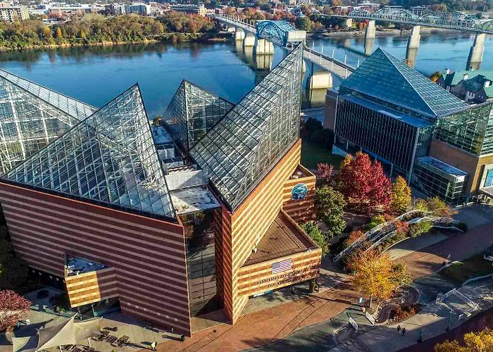 Tennessee Aquarium Tennessee Aquarium hosting 30th Anniversary Event - Explore ... photo