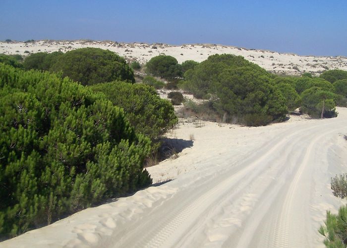 Golf Dunas de Doñana Doñana National Park Tours - Book Now | Expedia photo