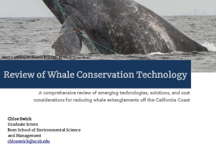 Sanctuary Caraca Search Issue Lab photo