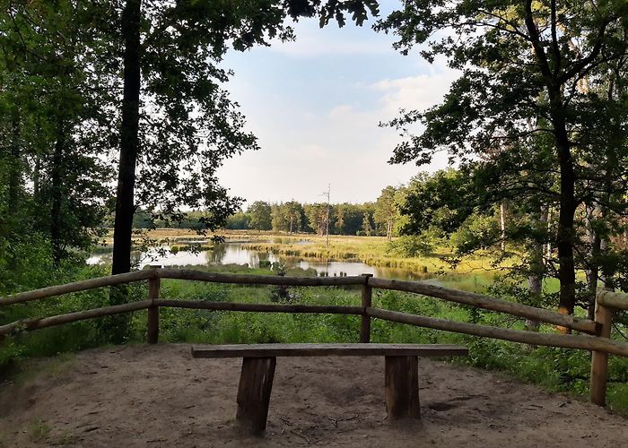 De Twee Marken The best Hikes in Woudenberg | Outdooractive photo