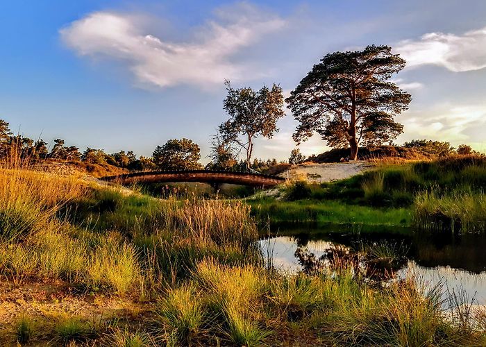 De Twee Marken The best Hikes in Utrechtse Heuvelrug | Outdooractive photo