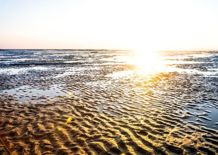 Joachim Ringelnatz Museum Visit Cuxhaven: 2024 Travel Guide for Cuxhaven, Lower Saxony | Expedia photo