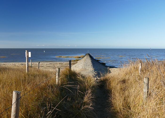 Joachim Ringelnatz Museum Visit Sahlenburg: 2024 Travel Guide for Sahlenburg, Cuxhaven | Expedia photo